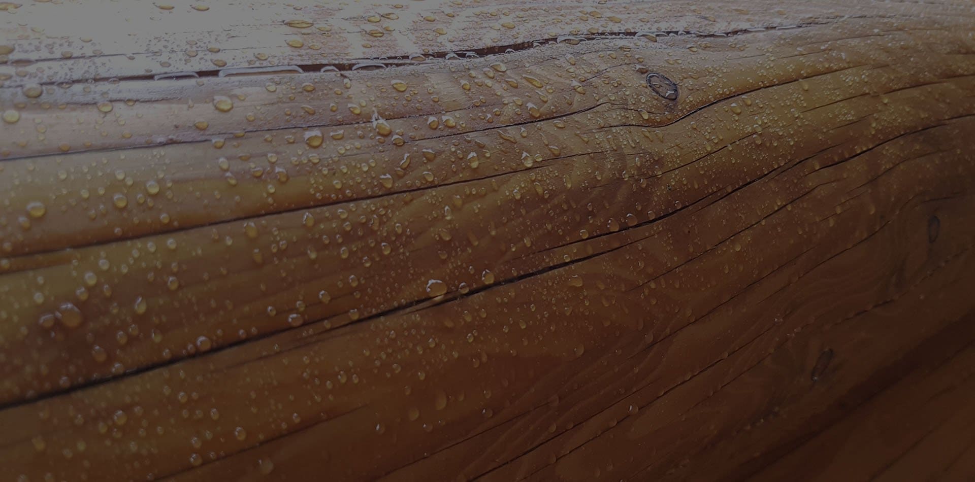 Wooden Evolution: Защита древесины