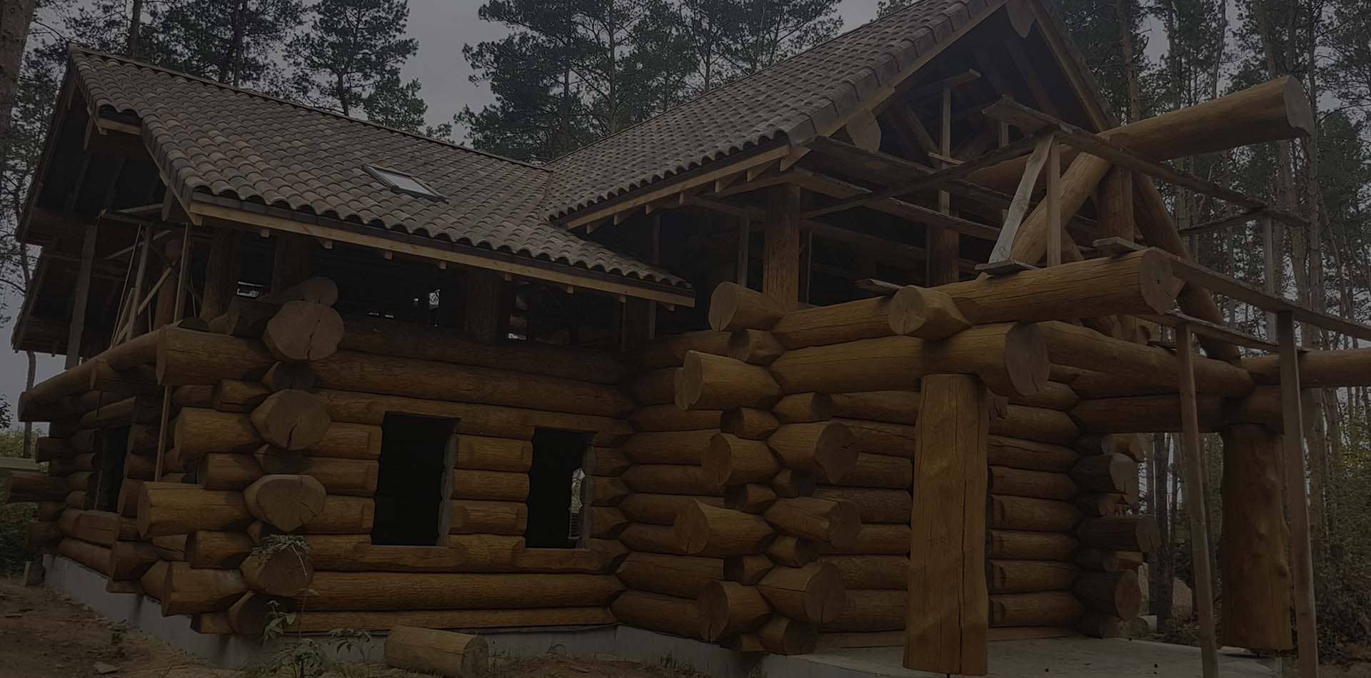 Wooden Evolution: Реставрация дома из сруба (Киев)